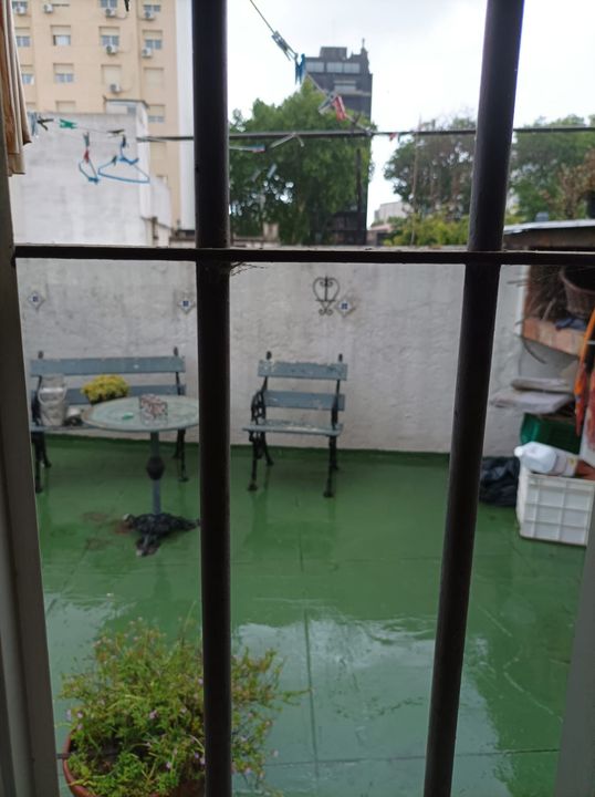 Foto de la propiedad