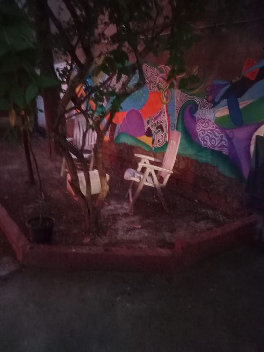 Foto de la propiedad