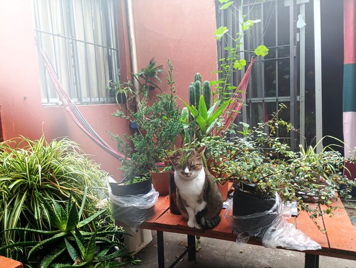 Foto de la propiedad