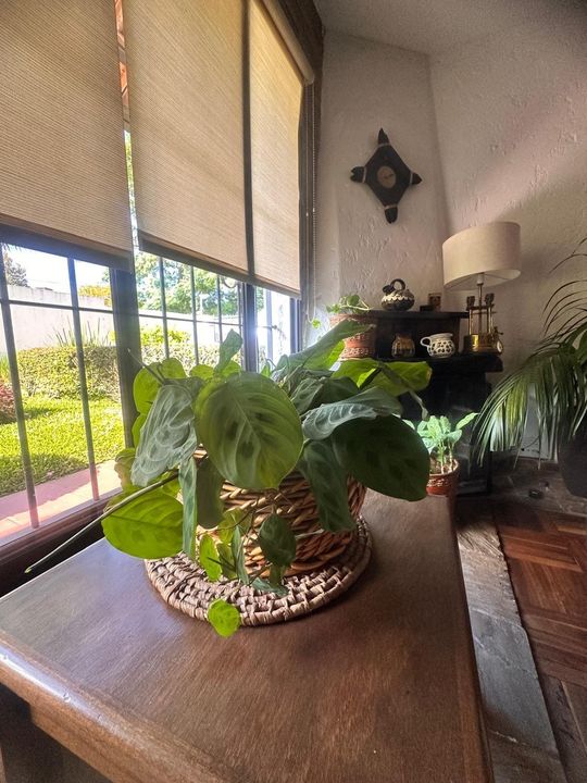 Foto de la propiedad